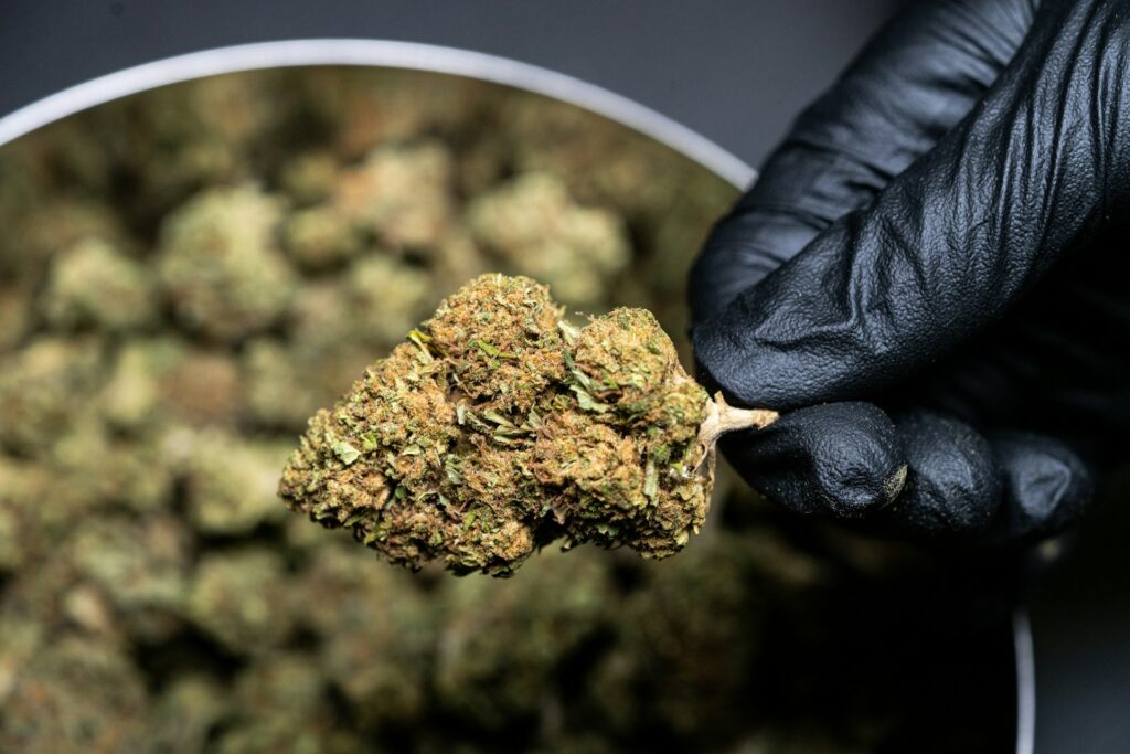 weed-cbd-shop-Paris