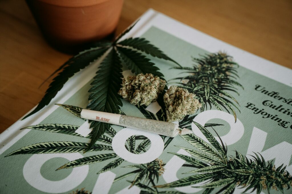 CBD PARIS